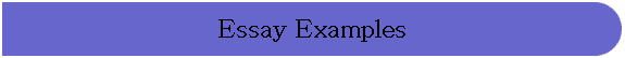 Essay Examples
